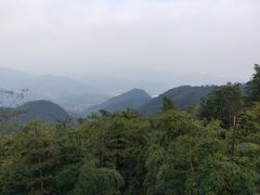 -莫干山风景区