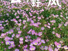 -尚贤河湿地