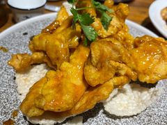 锅包肉-俭寨大盘鸡·缸子肉·小公鸡·新疆菜(云通店)