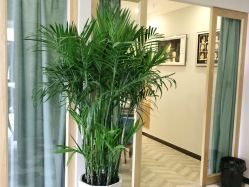 点击看大图 -星豆豆儿童摄影(南郊太白南路店)