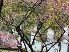 -重庆彩云湖湿地公园