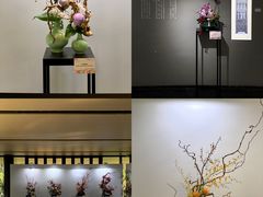 -云溪植物园