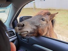 -南京金牛湖风景区