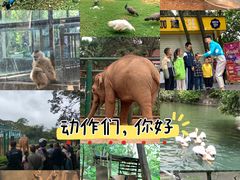 -昆明动物园