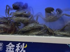 -蟹状元大闸蟹·年货·粽子(成都成华店)