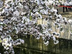 -海棠花溪(元大都城垣遗址公园)
