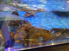 -盒马鲜生(大成店)