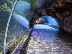 -华夏文旅西安度假区