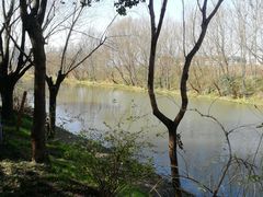 -新江湾城公园