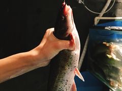 -老板恋上鱼(恒隆广场店)