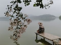 -池州市平天湖风景区