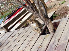 -酷鱼垂钓CLUB(朝阳区博大路店 )