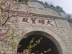 -佛慧山