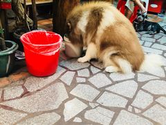 -老宅原住民沙茶面精品小吃(龙头路店)