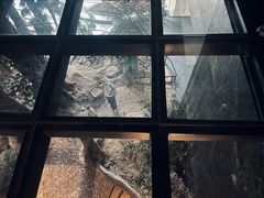 -昆明动物博物馆