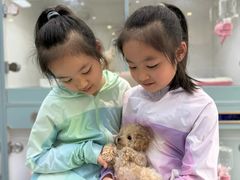 -萌宠之家·腊肠犬·马尔泰·小体犬舍