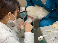 -安安宠医·臻爱宠物医院·宠保定点(营门口路分院)