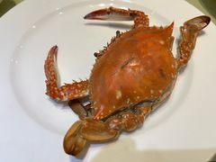 -日月昇渔家菜·海肠捞饭·大连海鲜(星海公园店)