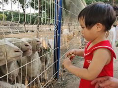 -东郊湿地公园