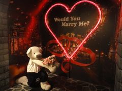 -济州岛泰迪熊博物馆