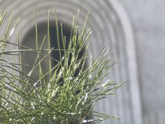 -中国艺术研究院油画院