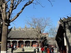 -护国法轮寺