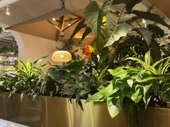 -金孔雀德宏傣味餐馆(魏公村店)