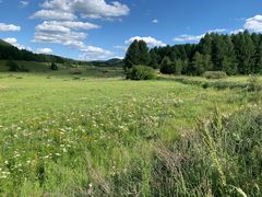 -塞罕坝国家级自然保护区