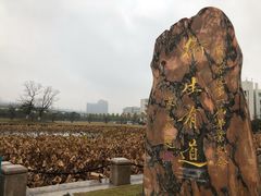 -南京医科大学(江宁校区)