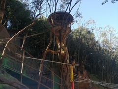 -西游洞风景区