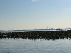-七的湖·晚芳亭·阳澄湖农家菜·大闸蟹(莲花岛店)
