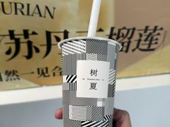 -树夏(金楠天街店)