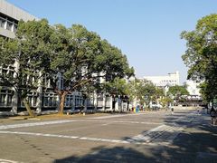 -大埔公路-马料水段香港中文大学(公交站)