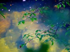 -陕西省红河谷森林公园