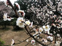 -惠山国家森林公园