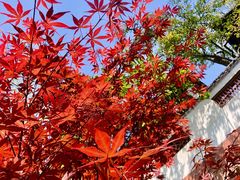 -东坡赤壁风景名胜区