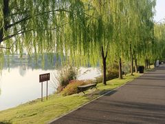 -东湖落雁景区