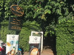 -Fern Forest Cafe