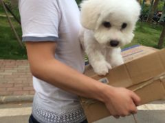 -喵宠乐园·撸猫互动·猫舍