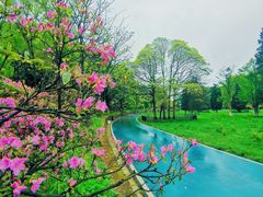 -贵州省植物园