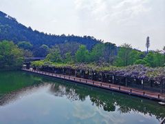 -黄陂区野村谷景区