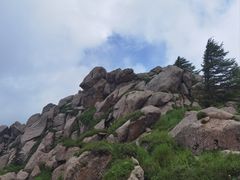 -芦芽山旅游度假区