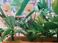 -SENTEA森茶(麦地丽日店)