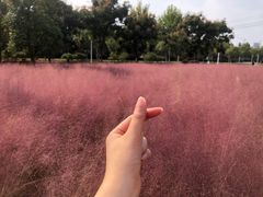 -尚贤河湿地
