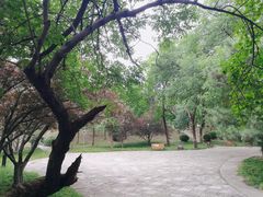 -元大都城垣遗址公园