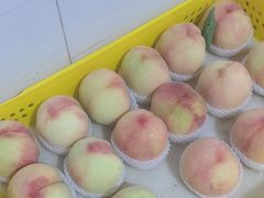 -老袁家蜜桃农场·阳山水蜜桃