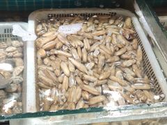 -渔码头食府(蓬莱阁店)