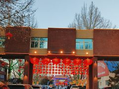 -南宫五洲植物乐园