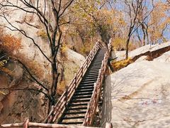 -北京凤凰岭