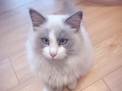 -Pets First伊珊娜洗护·精致美容·家庭式寄养(新会路店)